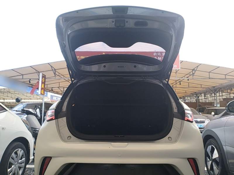 Used BYD Dolphin 2023 420 km Fashion Edition — 18
