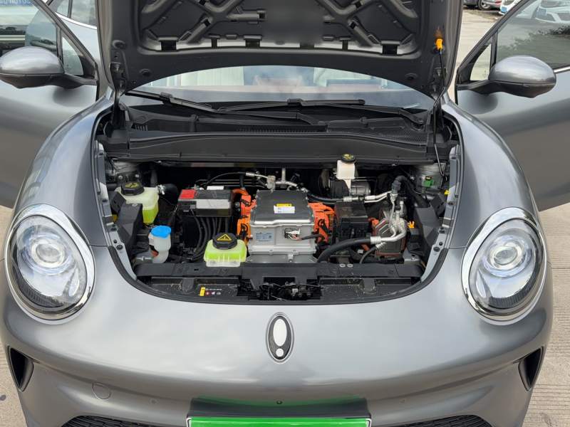 Used ORA Good Cat 2025 Model, 430 km Prestige Version — 20