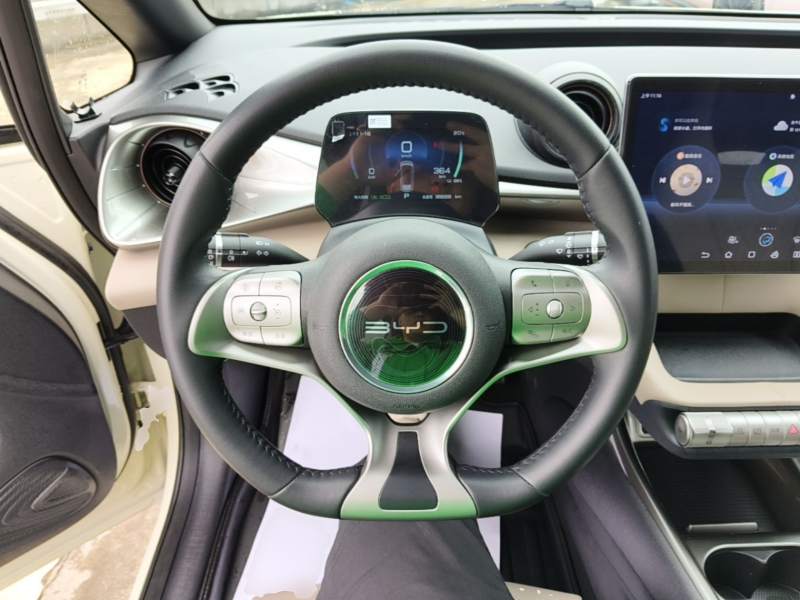 Used BYD Dolphin 2021 405 km Fashion Edition — 10