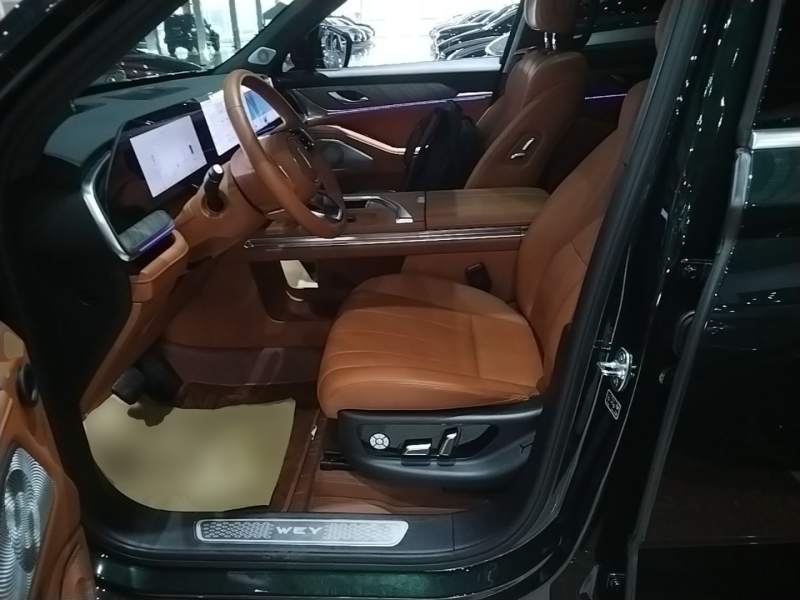 Used Wey Lanshan 2023 Four-Wheel Drive Ultra-Long Range Version — 14