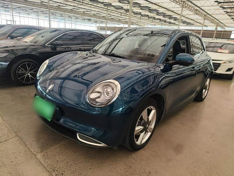 Used ORA Good Cat 2022 Morandi Edition 400km Standard Range Premium Version Lithium-Ion Battery