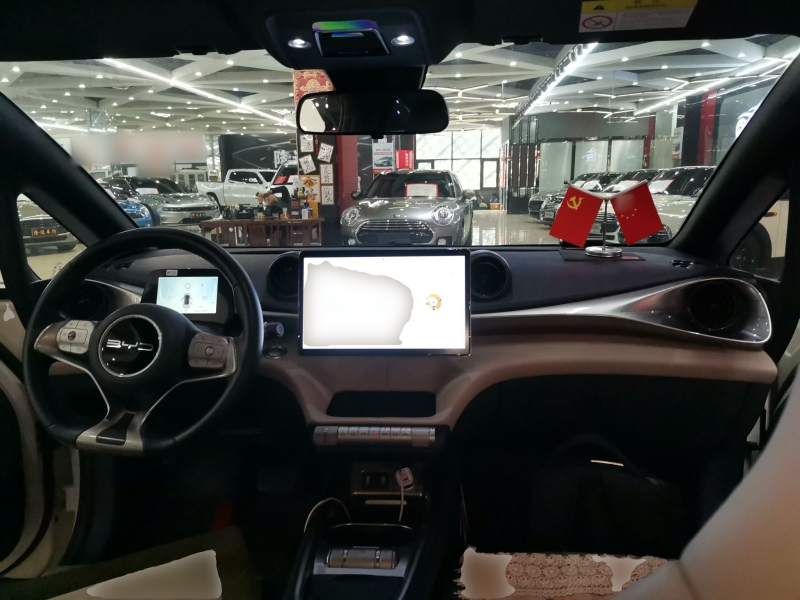 Used BYD Dolphin 2023 420 km Fashion Edition — 9