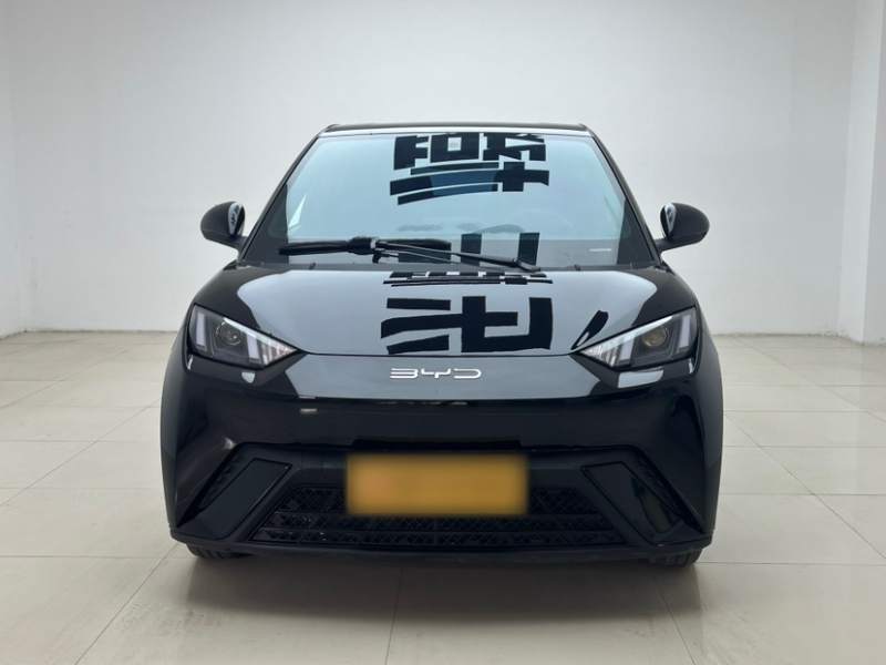 Used BYD Seagull 2024 Honor Edition 305km Dynamic Version — 28