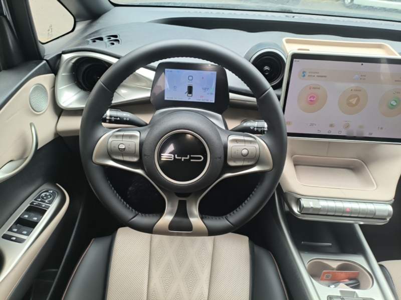 Used BYD Dolphin 2023 420 km Fashion Edition — 10