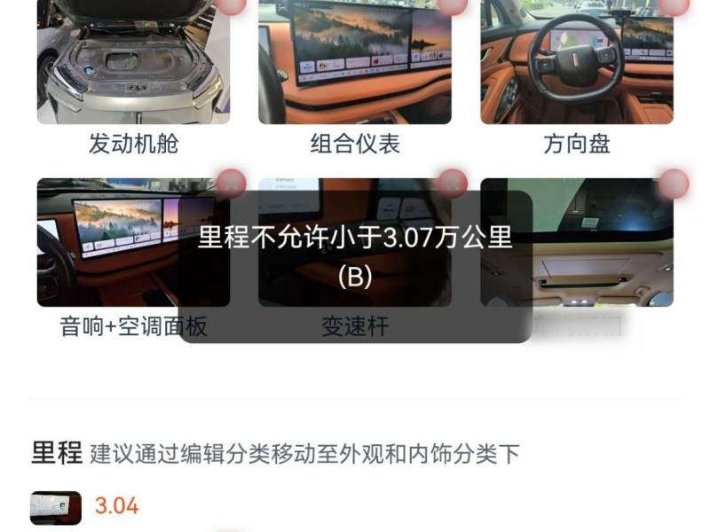 Used Wey Lanshan 2025 Four-Wheel Drive Max — 36