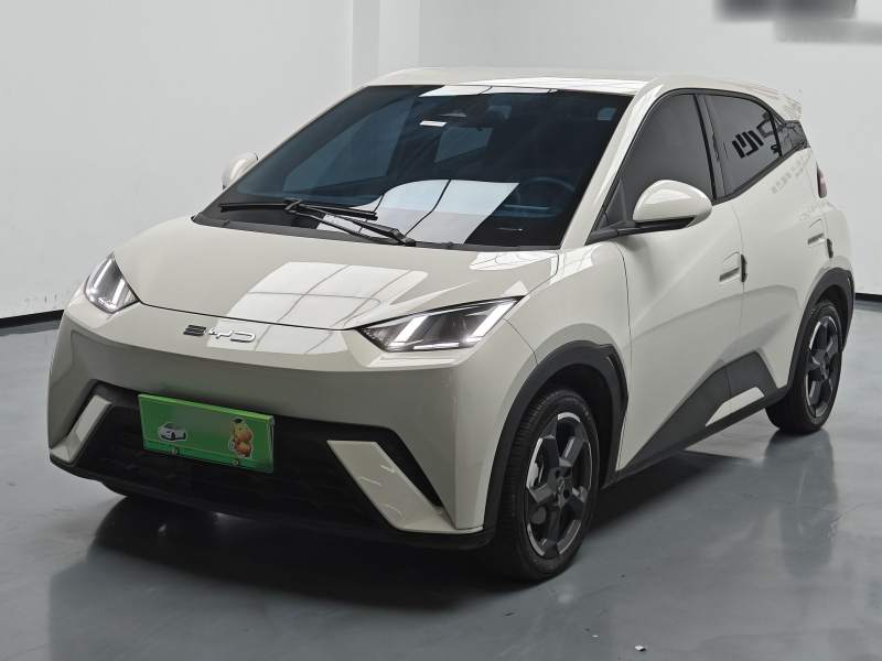 Used BYD Seagull 2023 Flying Edition — 1