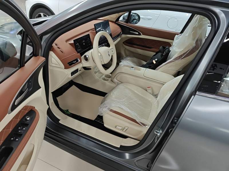 Used ORA Good Cat 2025 Model, 430 km Prestige Version — 15