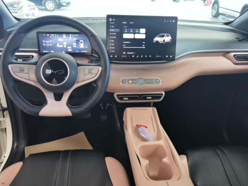 Used BYD Seagull 2025 405 km Flying Edition — 9