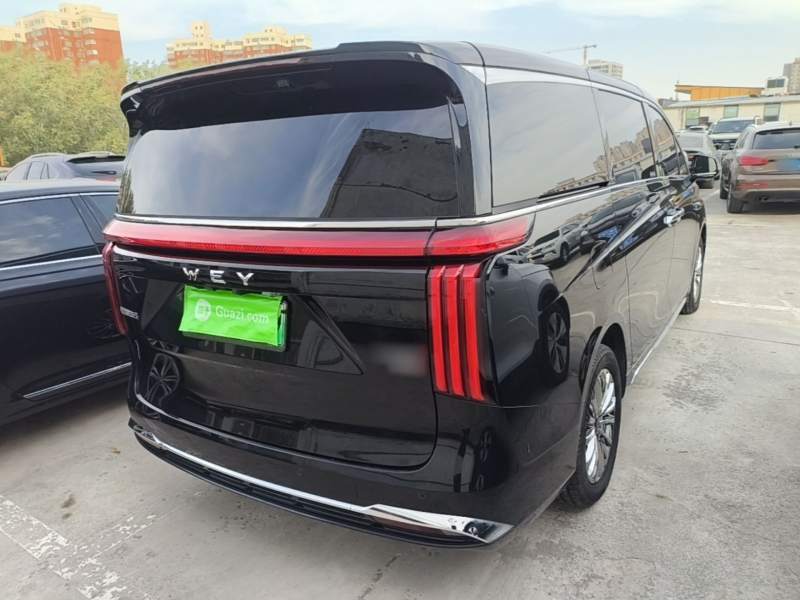 Used Wey Gaoshan 2025 Four-Wheel Drive Alpine 8 — 6