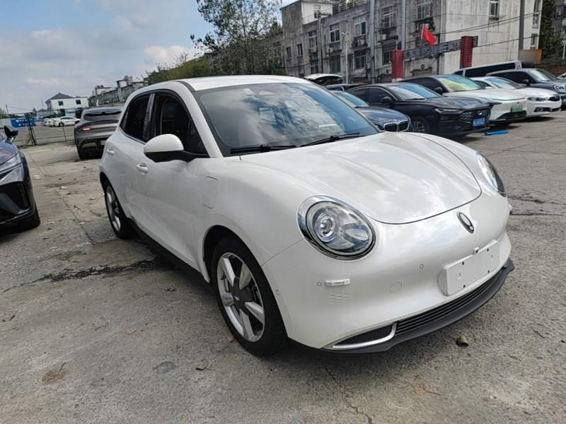 Used ORA Good Cat 2021 500km Long-Range Poseidon Edition Lithium-Ion Battery — 3