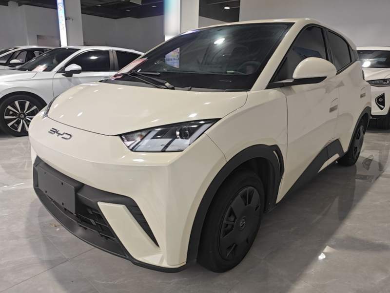 Used BYD Seagull 2023 Active Version — 1