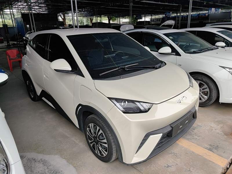 Used BYD Seagull 2025 305 km Free Version — 3