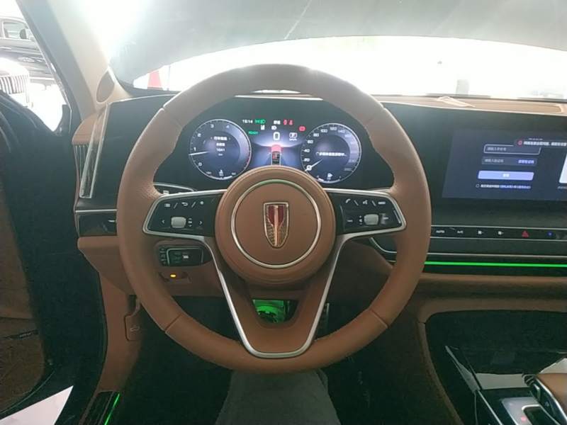 Used Hongqi H9 2025 2.0T Two-Wheel-Drive Flagship Luxury Business Edition 5 Seats — 10
