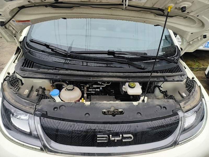 Used BYD Dolphin 2025 420km Free Edition — 19