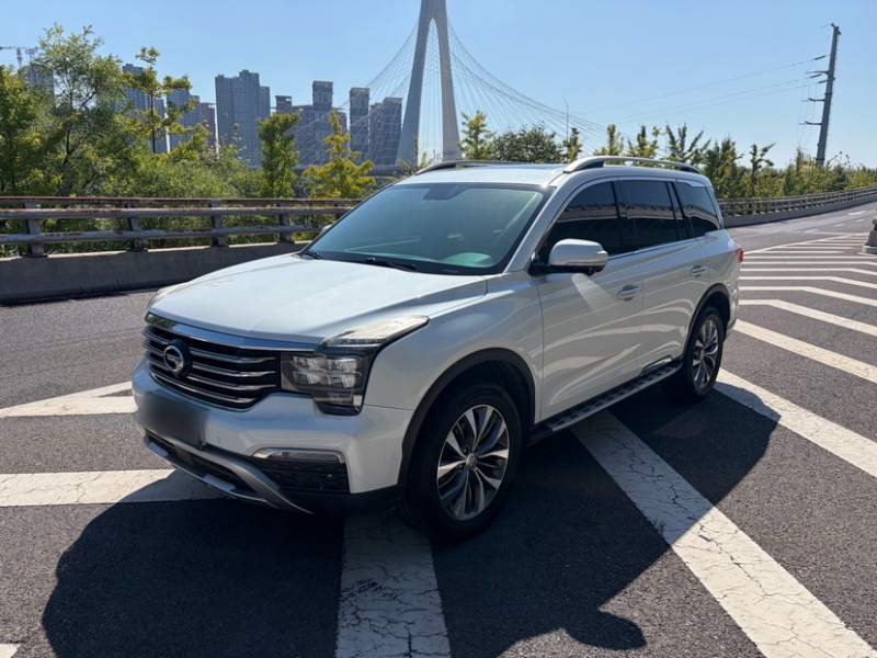 Used GAC Trumpchi GS8 2017 320T Four-Wheel Drive Luxury Smart Connectivity Version (7 Seats)