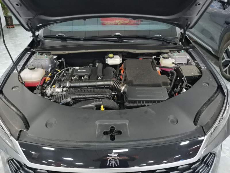 Used BYD Qin PLUS 2025 DM-i Smart Drive 55KM Leading Model — 19