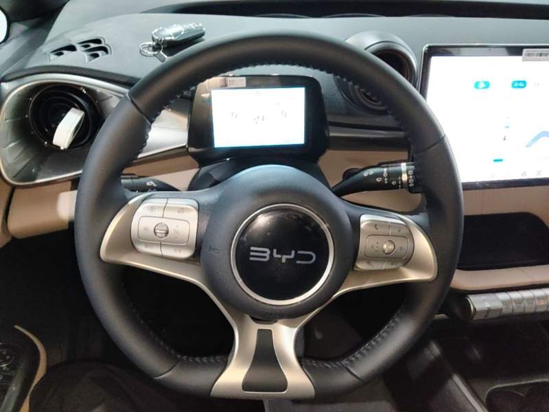 Used BYD Dolphin 2025 420km Free Edition — 10