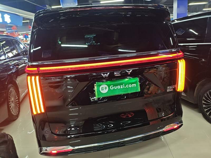 Used Wey Gaoshan 2023 Four-Wheel-Drive Executive Extended Version — 5