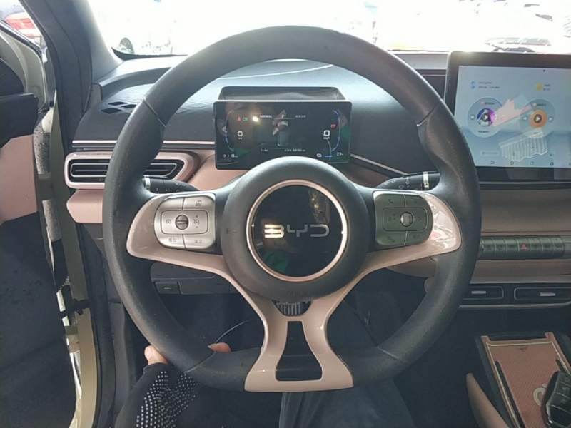 Used BYD Seagull 2024 Honor Edition 305km Dynamic Version — 10