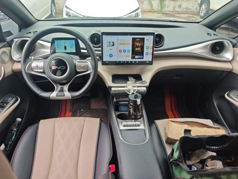 Used BYD Dolphin 2025 420km Free Edition — 9