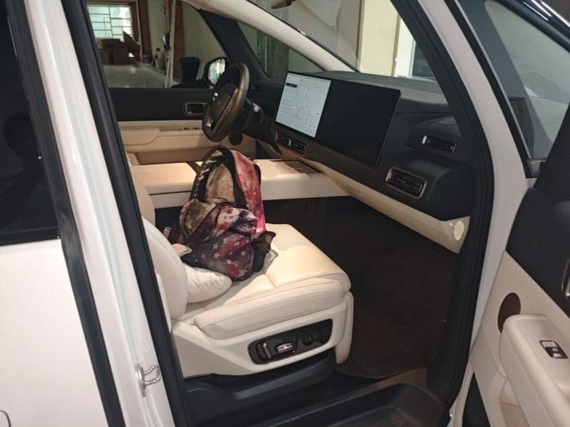Used Li Auto MEGA 2025 Ultra Smart Refreshed Edition — 24
