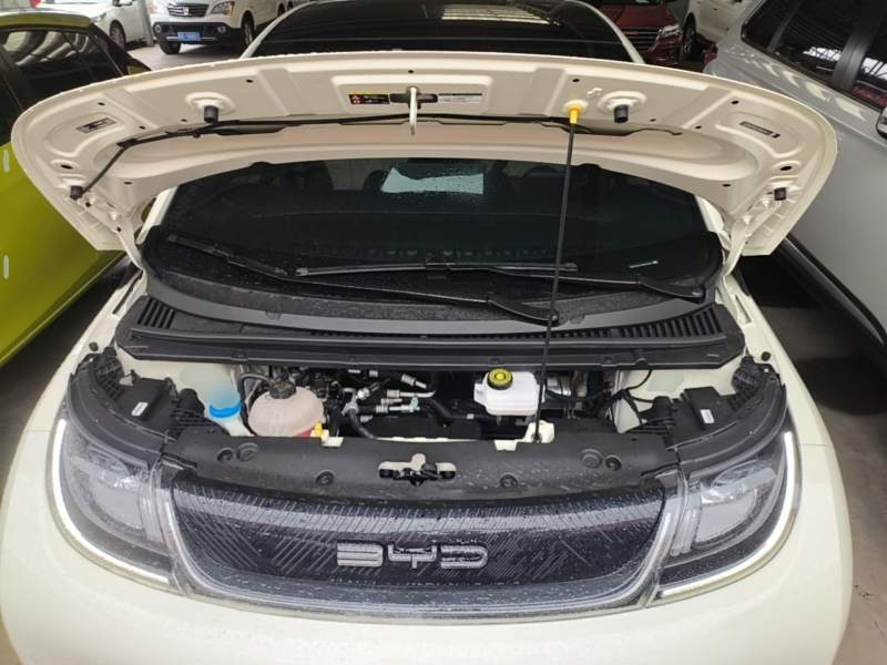 Used BYD Dolphin 2023 420 km Fashion Edition — 19