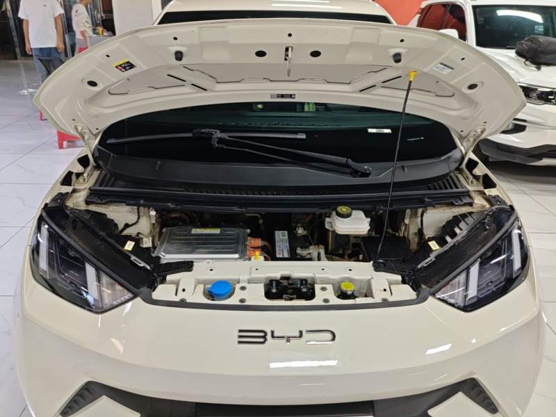 Used BYD Seagull 2024 Honor Edition 305km Freedom Version — 19