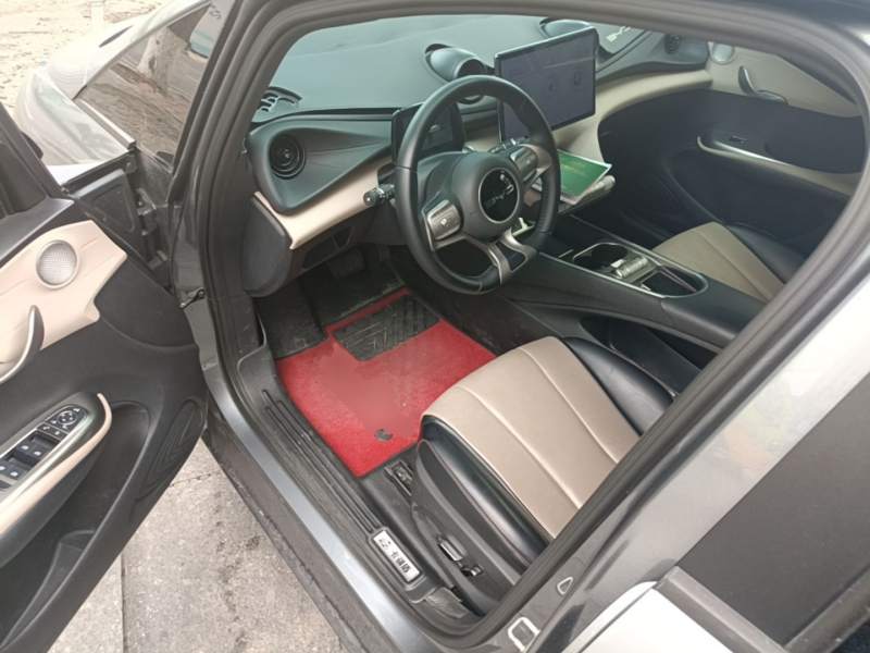 Used BYD Dolphin 2023 420 km Fashion Edition — 15
