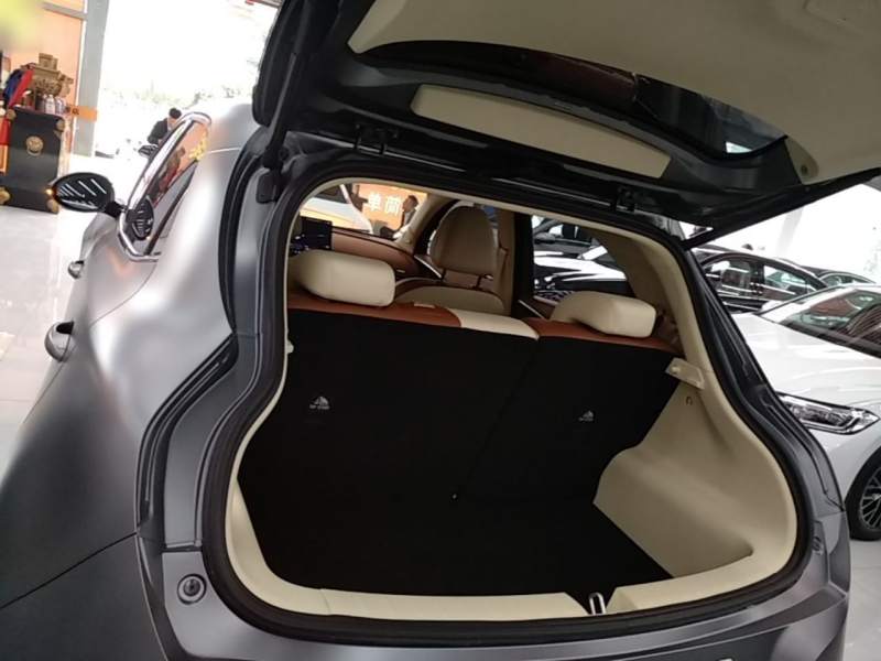 Used ORA Good Cat 2025 Model, 430 km Prestige Version — 18