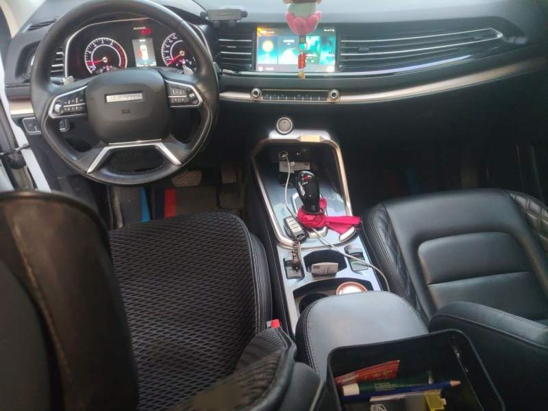 Used Haval H6 2020 2.0 GDIT Automatic Platinum Champion Edition — 19