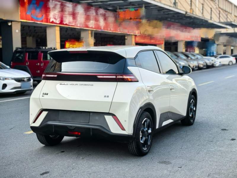 Used BYD Seagull 2023 Free Edition — 29