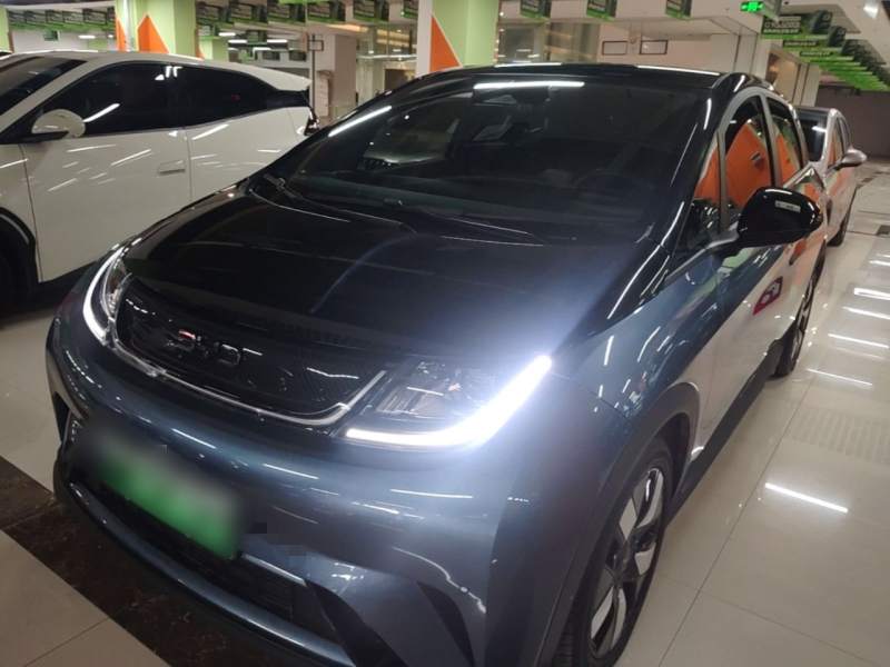 Used BYD Dolphin 2025 520km Range Knight Edition — 1