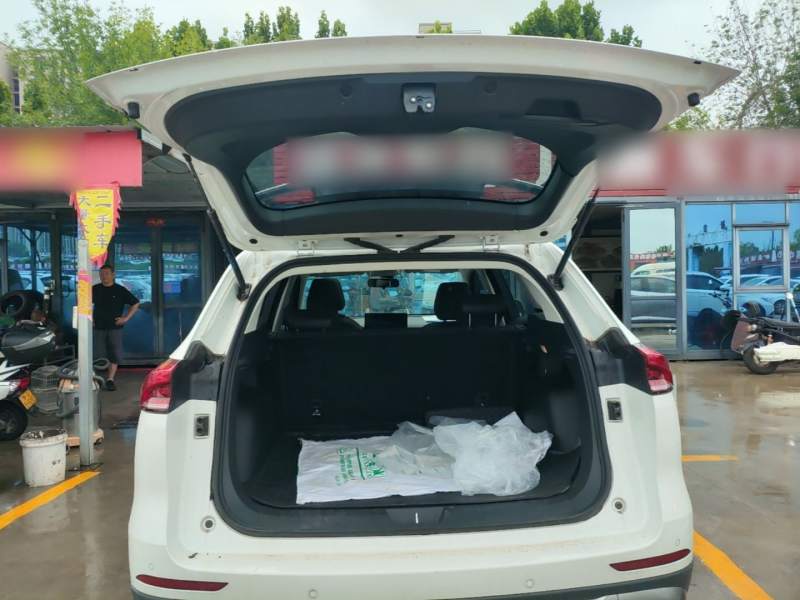 Used Haval H6 2023 National Trend Edition 1.5T Automatic Urban Version — 18