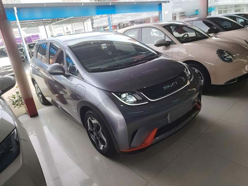 Used BYD Dolphin 2021 405 km Free Version — 3