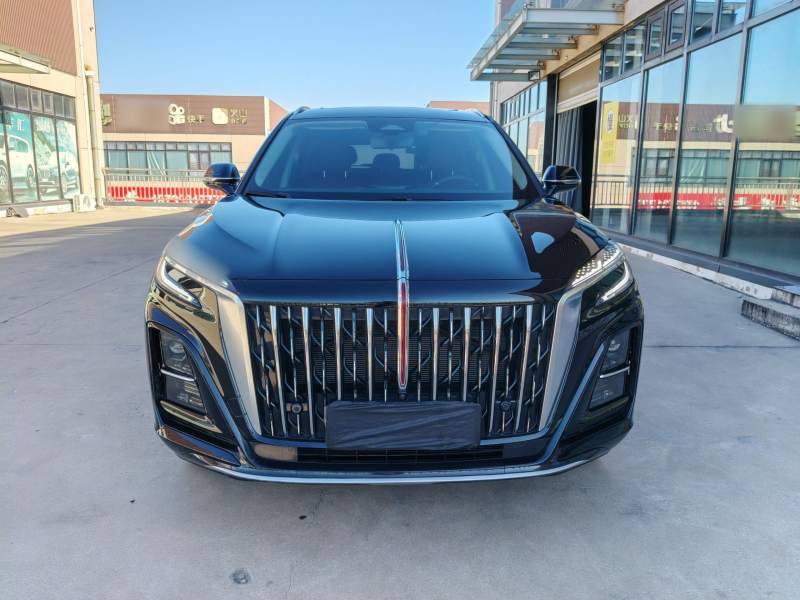 Used Hongqi HS3 PHEV 2025 Model 125km Jingwei 2 Millionth Anniversary Edition — 7
