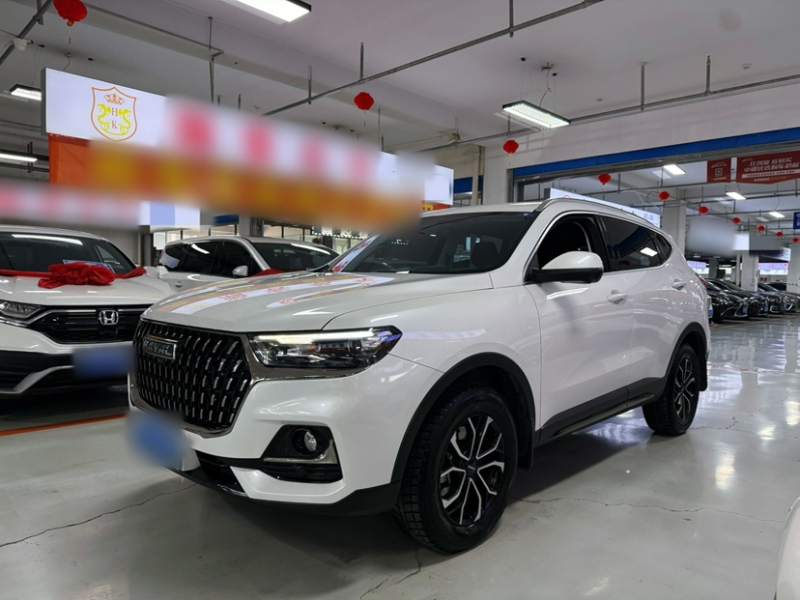 Used Haval H6 2023 National Trend Edition 1.5T Automatic Urban Version