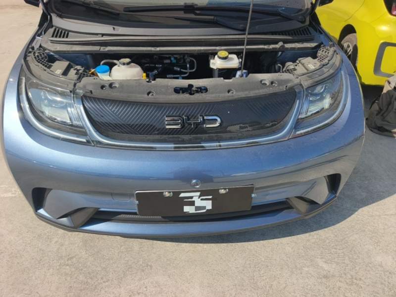 Used BYD Dolphin 2025 420km Free Edition — 19