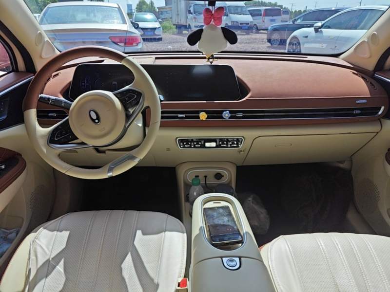 Used ORA Good Cat 2024 401 km Luxury Version — 9