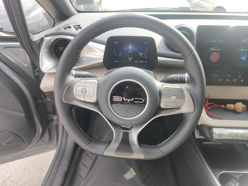 Used BYD Dolphin 2023 420 km Fashion Edition — 10