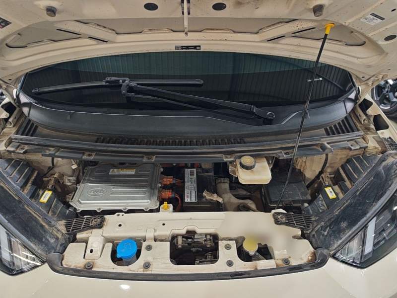 Used BYD Seagull 2023 Flying Edition — 19