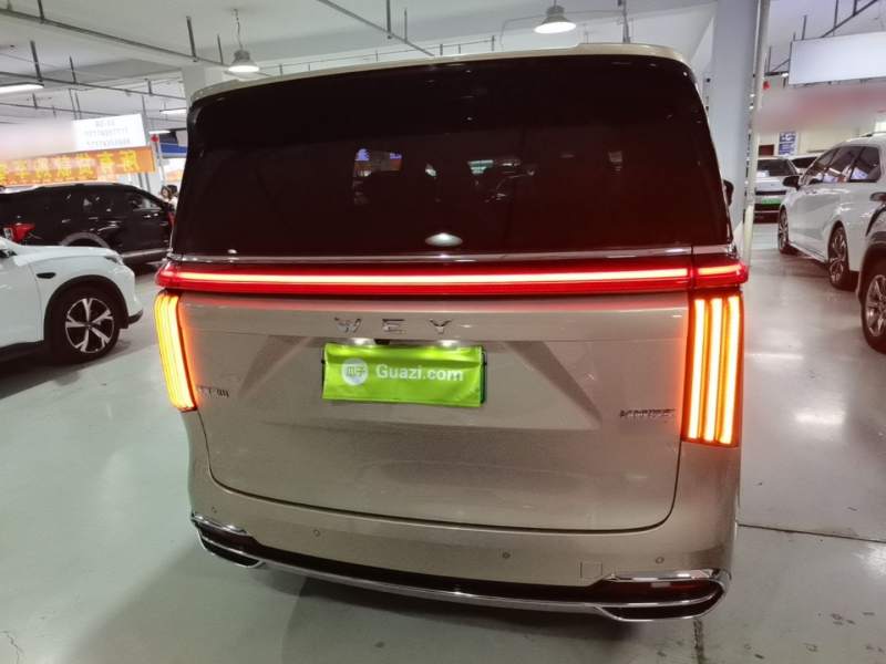 Used Wey Gaoshan 2023 Four-Wheel Drive Flagship Edition — 5