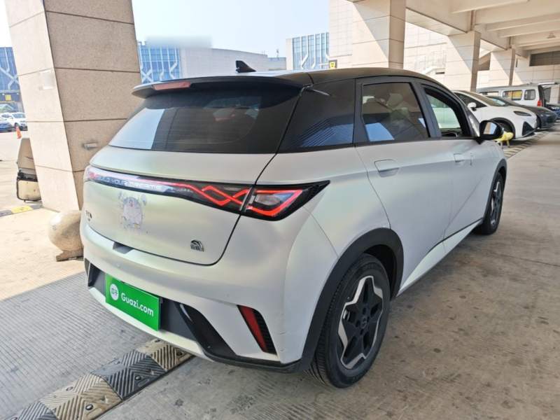 Used BYD Dolphin 2021 405 km Fashion Edition — 6