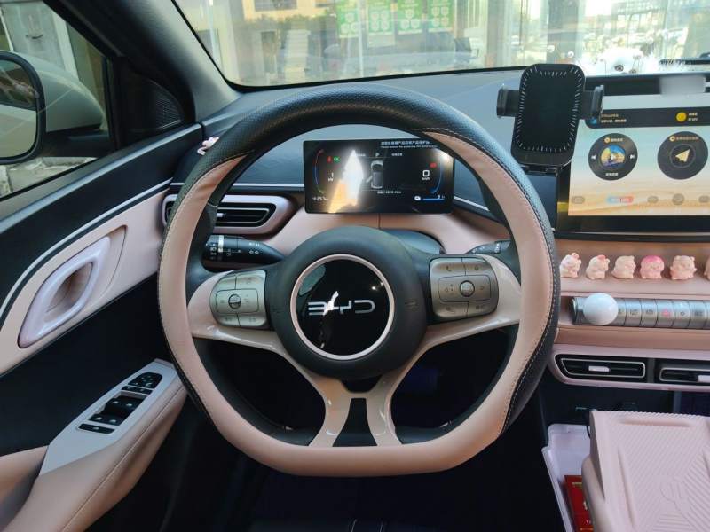 Used BYD Seagull 2024 Honor Edition 305km Dynamic Version — 11