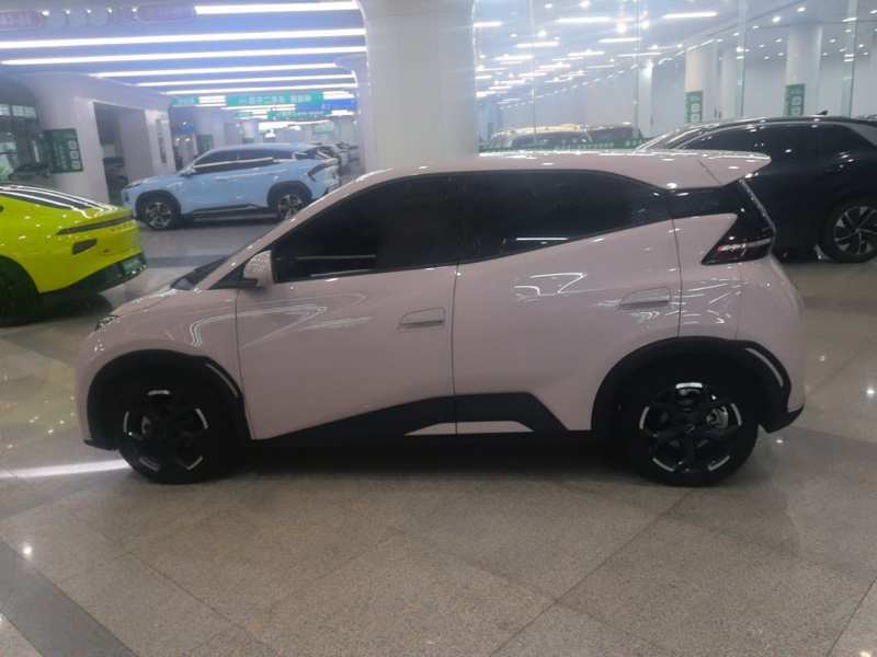 Used BYD Seagull 2024 Honor Edition 305km Freedom Version — 4