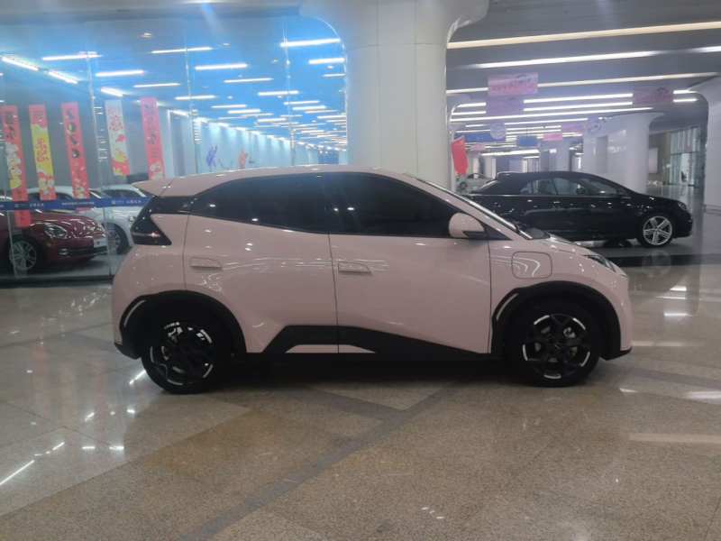 Used BYD Seagull 2024 Honor Edition 305km Freedom Version — 25