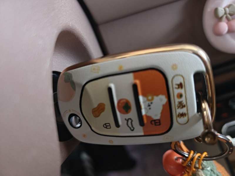 Used Wuling Hongguang MINIEV 2025 Four-Door Version Advanced Edition — 10