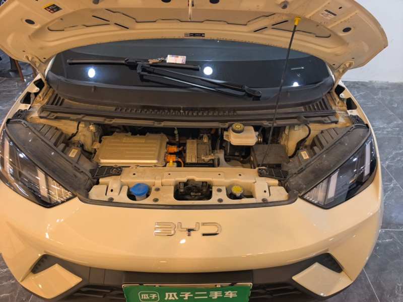 Used BYD Seagull 2023 Free Edition — 10