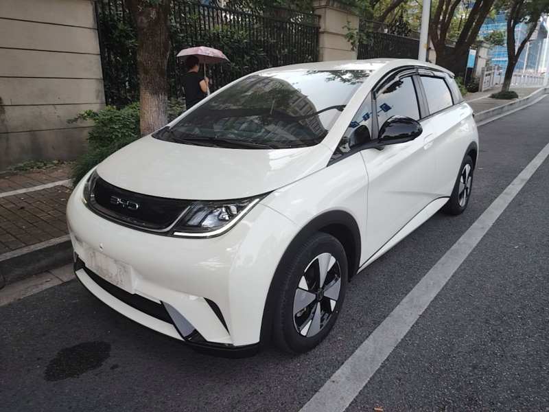 Used BYD Dolphin 2023 420 km Free Version