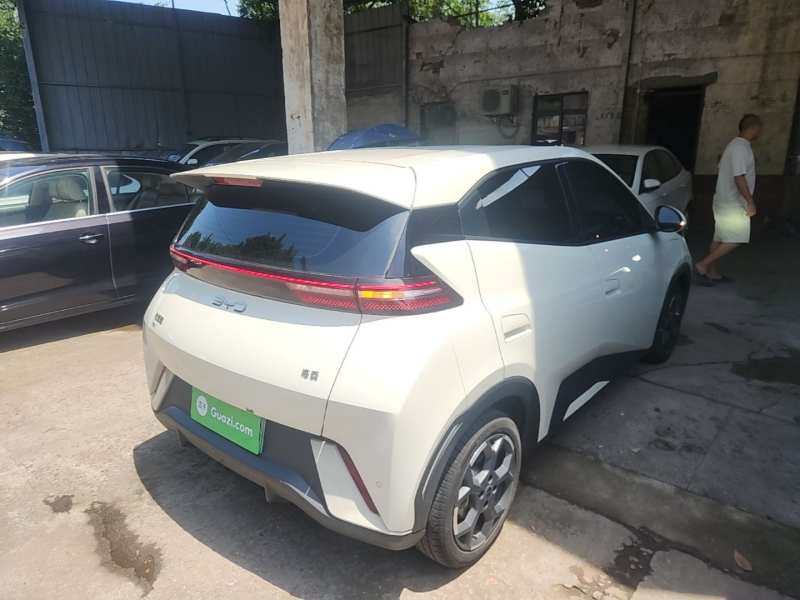 Used BYD Seagull 2024 Honor Edition 305km Freedom Version — 6