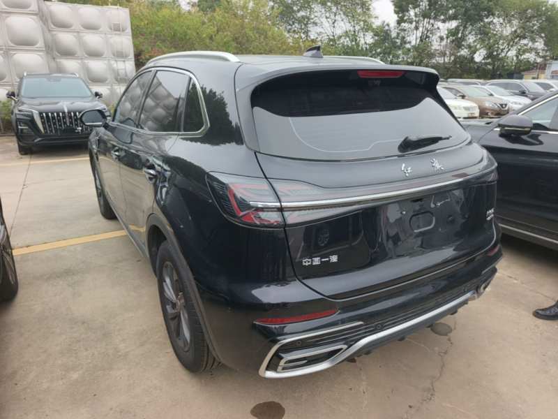 Used Hongqi HS5 2025 2.0T Two-Wheel Drive Flagship Pro Edition – Chinese Trim Xiang — 4